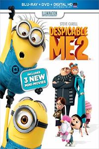 despicable me 2 in hindi 480p 720p