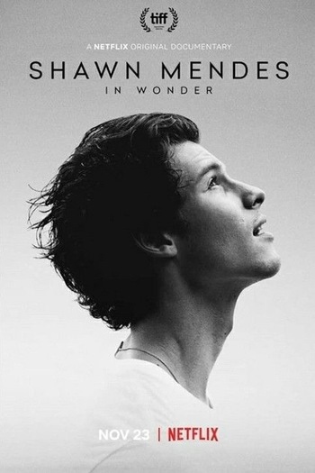 Shawn Mendes In Wonder movie english audio download 480p 720p 1080p