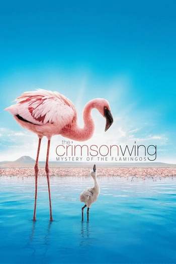 The Crimson Wing Mystery of the Flamingos Dual Audio download 480p 720p