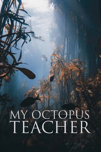 My Octopus Teacher movie english audio download 480p 720p