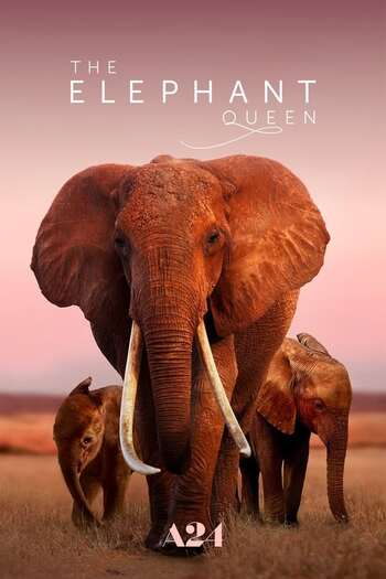 The Elephant Queen movie dual audio download 480p 720p 1080p