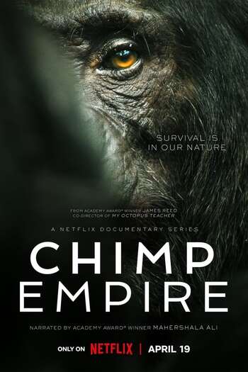 Chimp Empire season 1 dual audio hindi english download 480p 720p 1080p